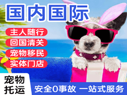 攀枝花保安营空运国际宠物托运 【国